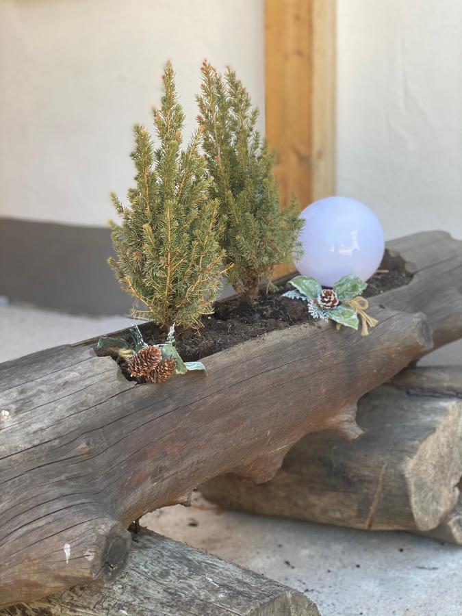 Ferienwohnung Natururlaub Muggenbrunn Todtnau Exterior foto