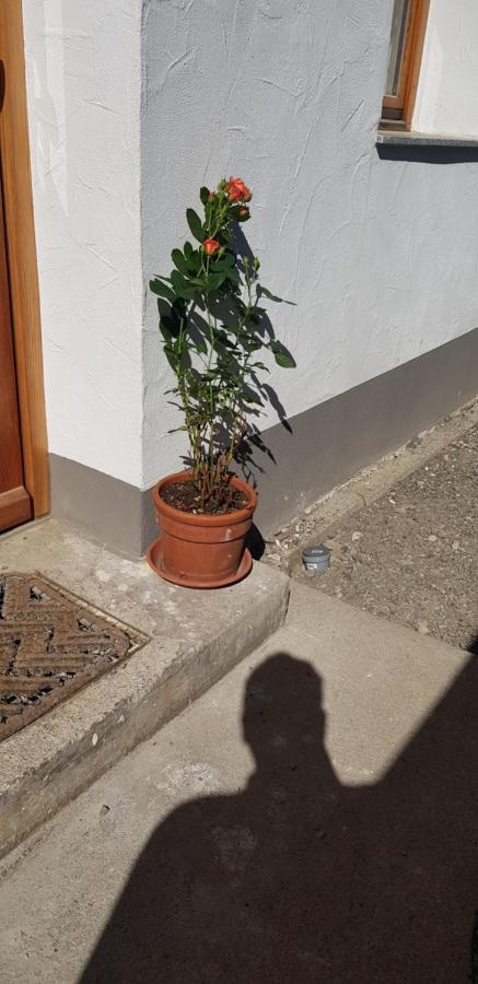 Ferienwohnung Natururlaub Muggenbrunn Todtnau Exterior foto